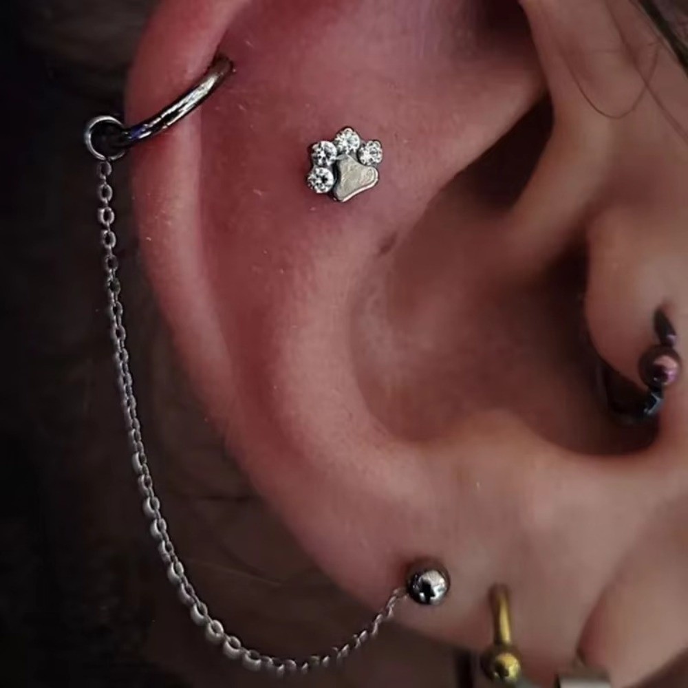 Cadena de titanio para nariz,  - Body Jewelry And Piercing reseña y precio