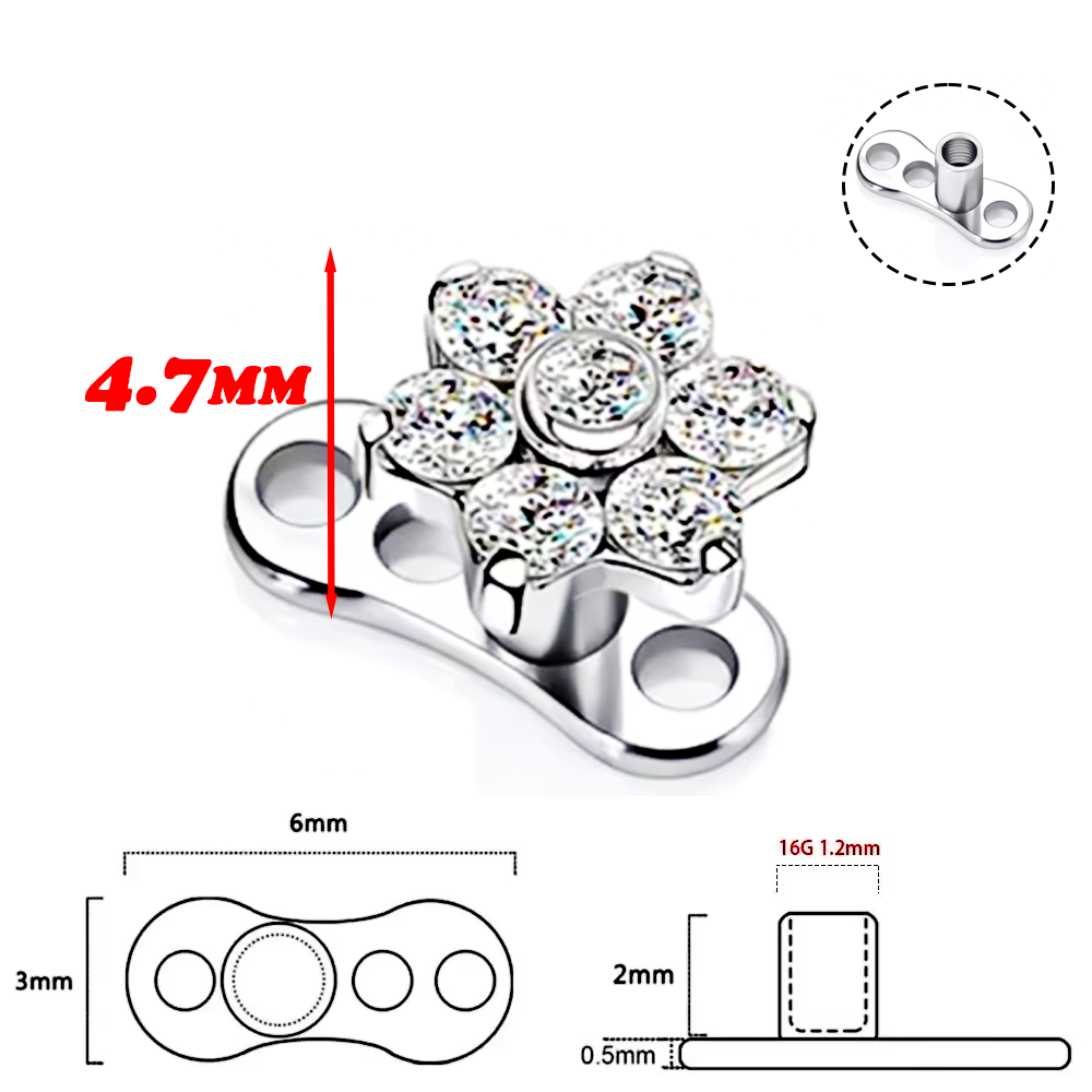 F136 aleación de titanio de al - Body Jewelry Implants reseña y precio